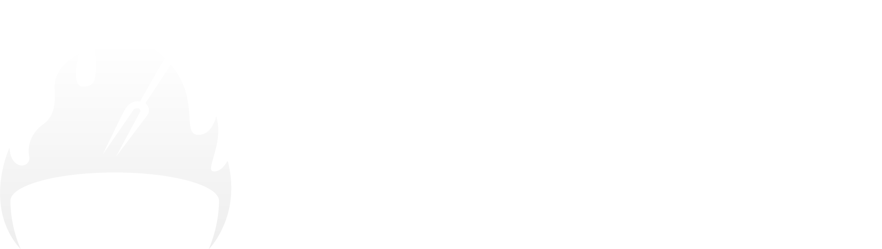 BBQ Smokers Reviews